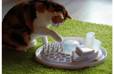 Edupet Cat Centre Toy